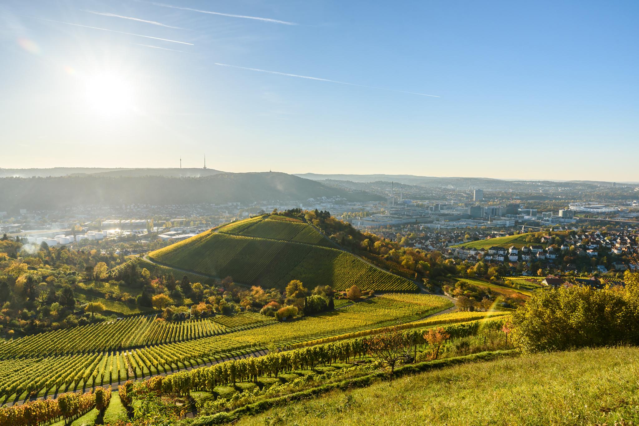 Weinberge in Baden-Württemberg - Vorreiter bei der Solarpflicht für Neubauten