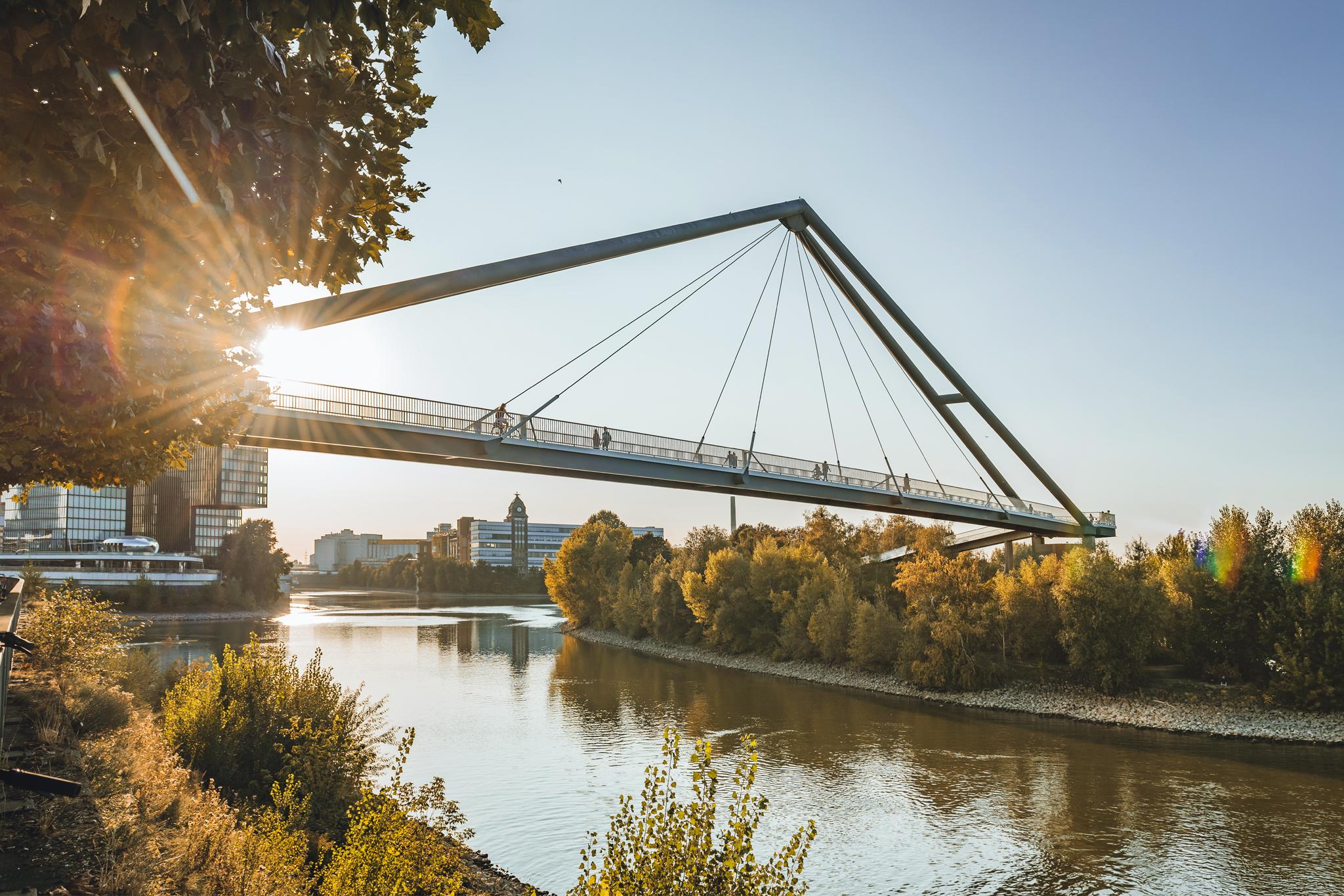 Ausblick auf den Rhein in Düsseldorf – Wallbox-Förderung in NRW